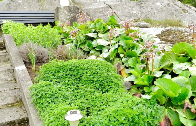 5 Person Holiday Home in Lysekil - Foto 22