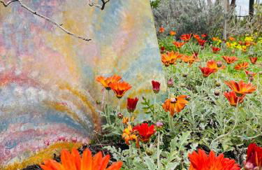 A Quinta da Estrelinha - Foto 23