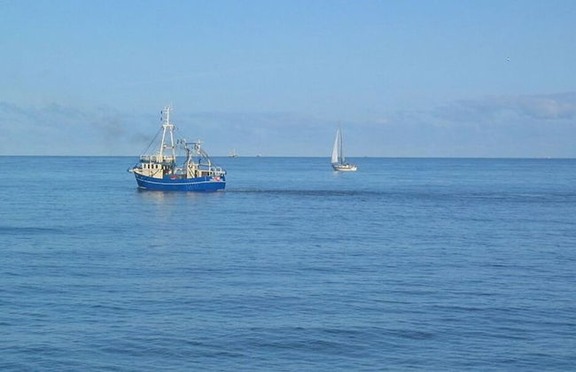 Thatched Roof House Kehl - Foto 13