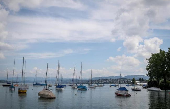 Swiss Star California - Foto 28