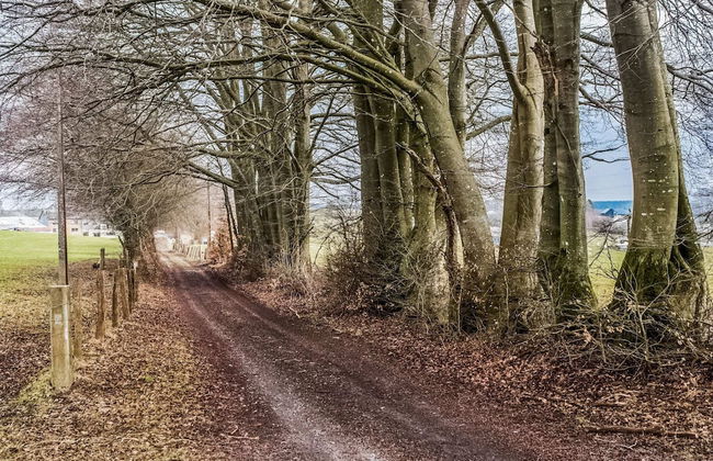 Cottage in Vaux-sur-sure With Garden - Foto 33