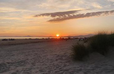 Gull Court 3 Double Bed Caravan - Foto 41