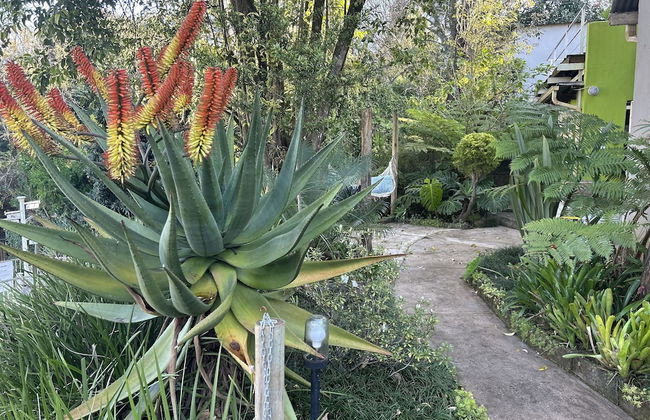 Sabie Self-Catering Apartments - Foto 58