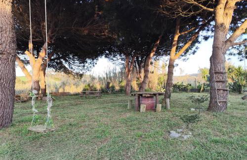 Casa do Lagar - Foto 11