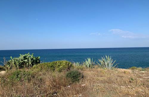 Salento Villa Cice, AC - WiFi - BBQ - attrezzatura da spiaggia - parcheggio privato sorvegliato, Due unità abitative indipendenti e giardino a due passi dal mare - Torre Ovo - Foto 63