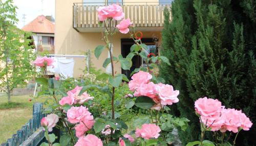 Vronis Ferienwohnungen - Foto 3