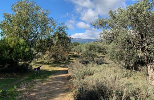 El Refugio de Felix - Photo 65