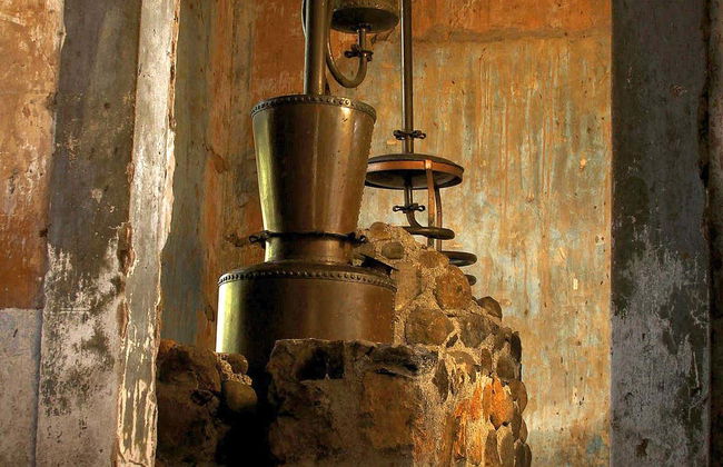 Excursion à Tequila avec spectacle mariachi + Train José Cuervo Express - Photo 2