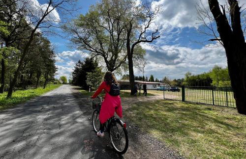 Domek nad Wartą - Foto 17