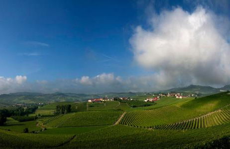 Casa Nalin - Photo 13