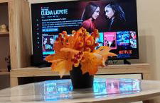 Apartman "Paris" - Foto 8