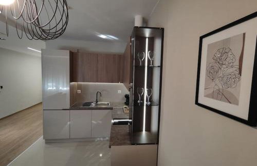 Luxury Apartments Deskati A1 - Foto 10