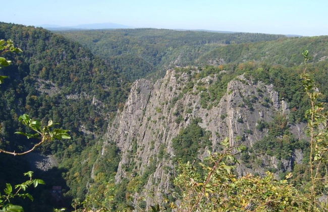 Apartment in Falkenstein With Wood-burning Stove - Foto 25