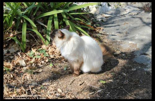 domaine des tilleuls d'or - Foto 46