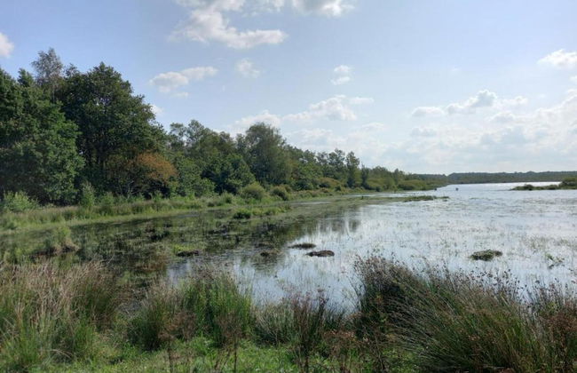 Farmhouse in Fochteloo Near National Park - Foto 28