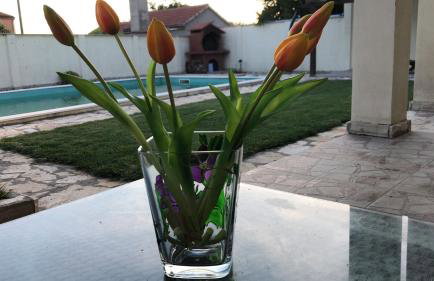 Villa Pistan - Foto 16