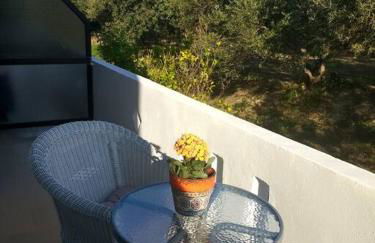 Olive apartment - Foto 7