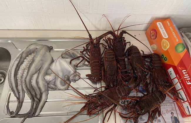 Lands Edge - Photo 22