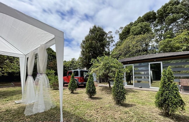 White Rabbit - Photo 7