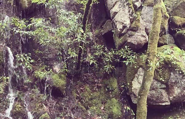 Paiva Walkways & 516 Arouca Bridge Day Trip - Photo 9