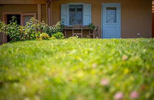 Il Campo di Nonno Giò - Foto 48