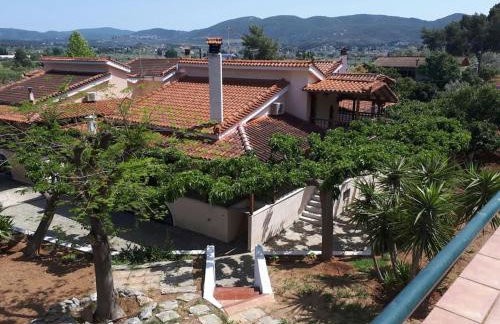 Villa - Farmhouse - Photo 1