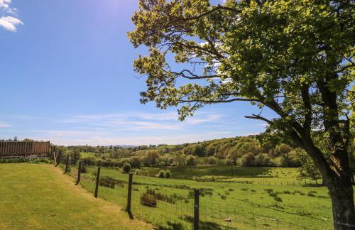 Foxes Meadow - Photo 24