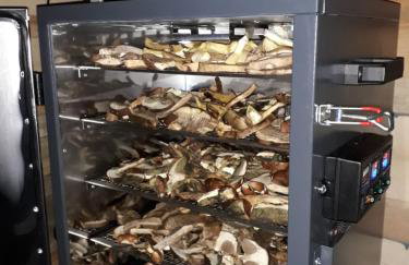 Domki nad jeziorem w Borach Tucholskich - Foto 13