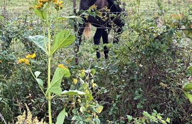 Newly Listed-Private 25-Acre Escape Near Red River Gorge - Foto 142