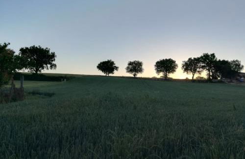 Agriturismo Il Mulino del Vescovo - Foto 18