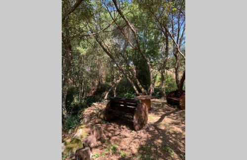 Formas Patuscas, Turismo Rural - Foto 17