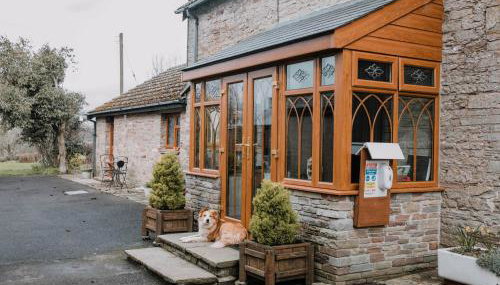 Stargazer's Field House - Foto 2