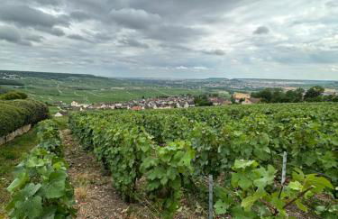 Pink Tropical Champagne - Foto 65