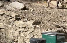 Casa rural en plena naturaleza Lic UVTR1524 - Photo 51