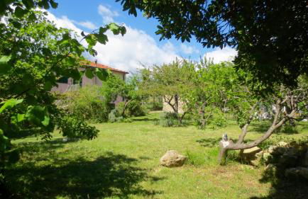 Borgata Castello - Foto 34