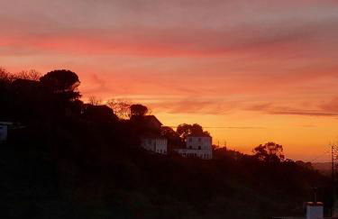 Azenha da Duquesa - Foto 36