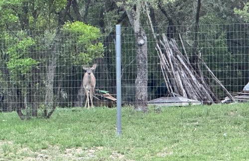 Tiny house - Our little piece of paradise - Foto 64