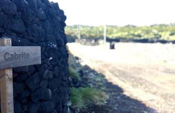 Yes Pico - By the Sea "Casa 3 Vistas" - Photo 30