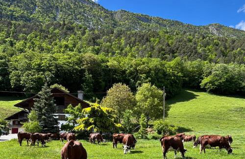 Vallée des Aravis, Appartement Lapreski, proche de La Clusaz - Foto 19