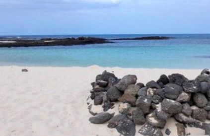 Apartamentos Albaula 5 - Foto 8