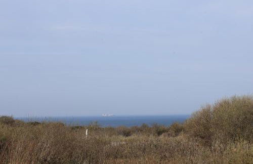 Les 4 oies - Wimereux - Foto 1