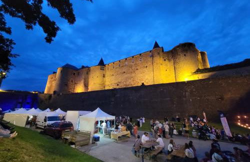 Château des Princes " Calme et sérénité au cœur de Sedan " - Foto 61
