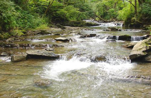 Domek Skowronek z basenem - Foto 31