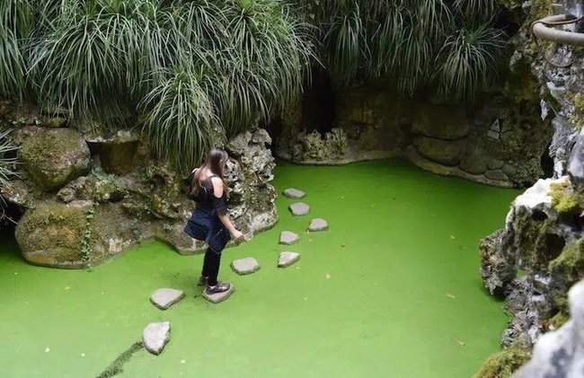 Sintra Highlights & Scenic Coast – Tour privado desde Lisboa - Foto 31