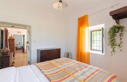 Qta Casa Seleiras - Guest House - Foto 17