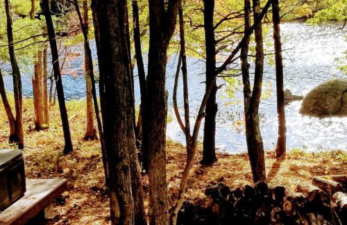 Modern Tiny House with Ski Access in Bennington, New Hamsphire - Foto 36