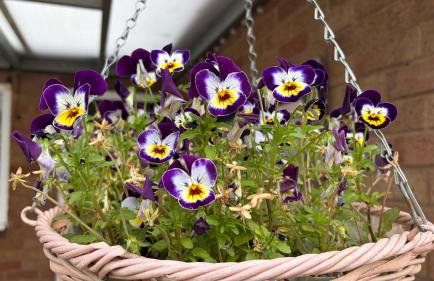 Happy Day -Walk to Warwick Uni & Cannon Park in Coventry that offers free parking 溫馨小居 - Foto 49