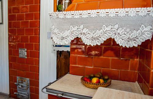 Gaja-Białowieża - Foto 7