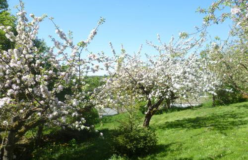 Harzurlaub Heyder - Foto 26