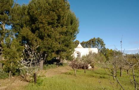 PalmaFlora villa con trulli - Foto 31